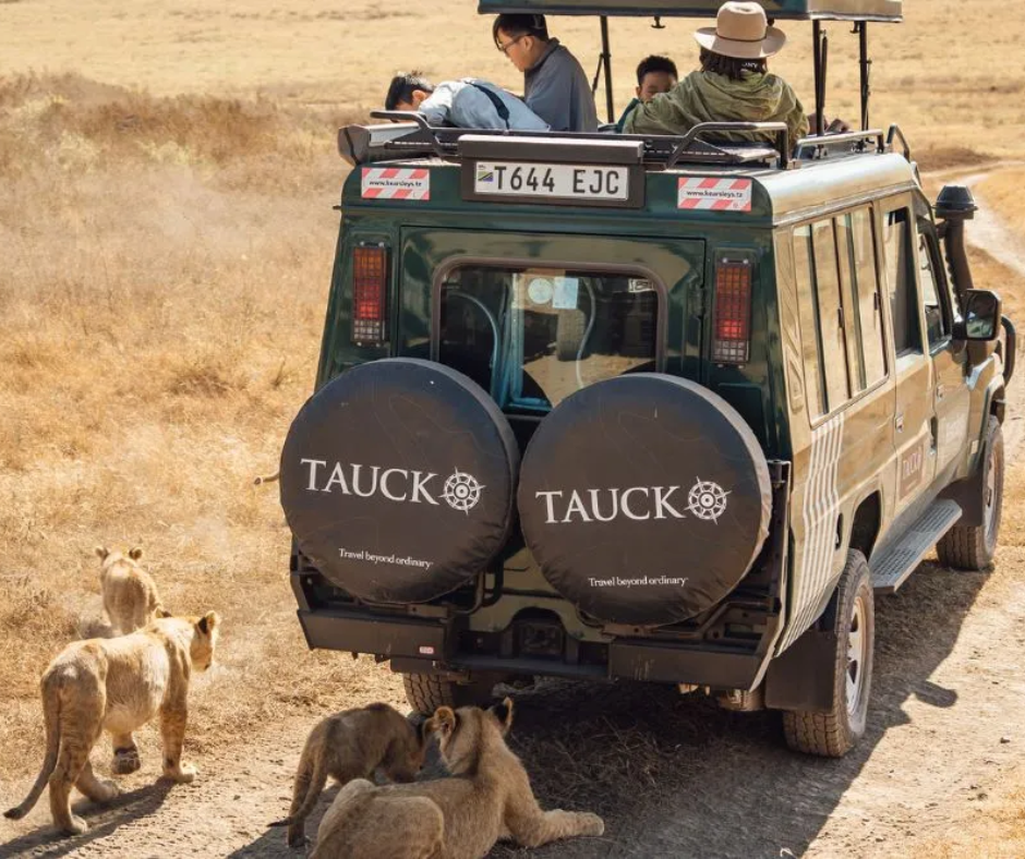 Safaris &amp; Wildlife