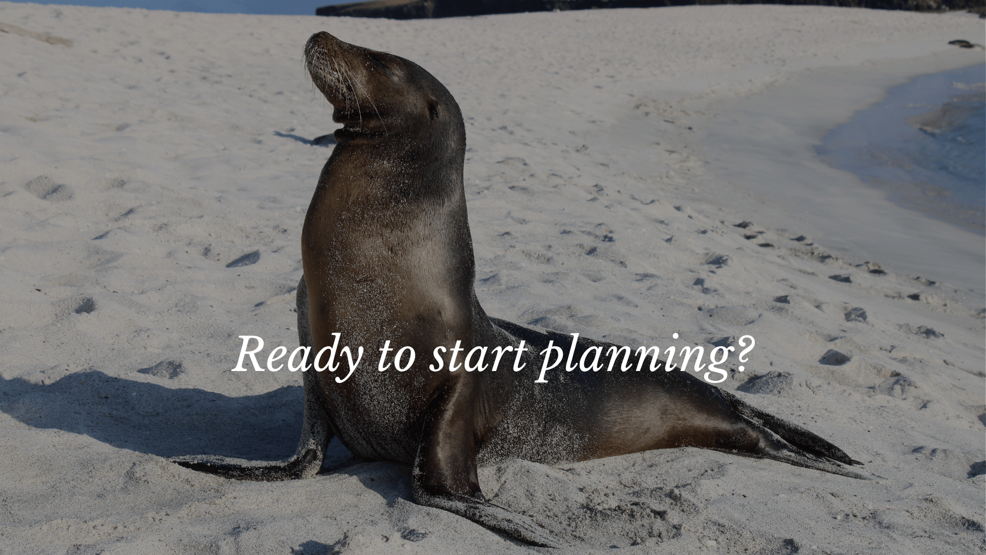 Custom trips. Thoughtfully planned. (8)