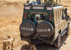 Safaris &amp; Wildlife